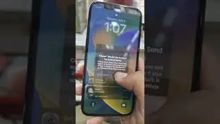 Iphone critical alerts problem