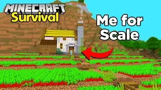 I Built a HUGE Beetroot Farm in Minecraft 1.20 Survival