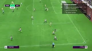 FIFA megafon