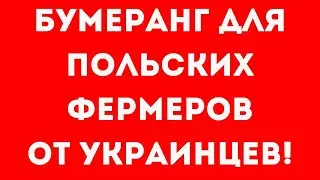 Поляки ВОЗМУЩЕНЫ! Украинцы не хотят собирать клубнику!
