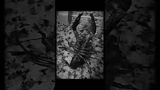 song: MAXPVNK- GSM, 30.08