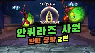 [와우클래식]안퀴라즈 사원 완벽공략 2편(쌍둥이제왕,쑨)Temple of Ahn'Qiraj guide phase2