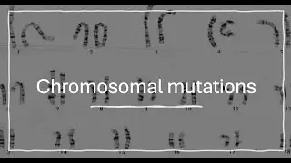 Chromosomal mutations