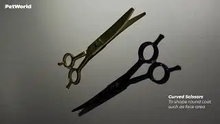 Purple Dragon Dog Grooming Scissors
