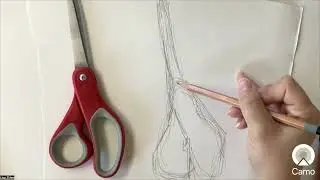 Gesture Drawings