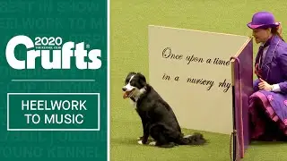 Wonderful Mary Poppins dog dancing routine at Crufts 2020