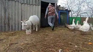 Наша жизнь на Кубани после переезда.