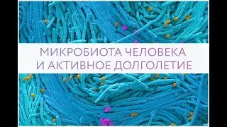 МИКРОБИОТА ЧЕЛОВЕКА И АКТИВНОЕ ДОЛГОЛЕТИЕ