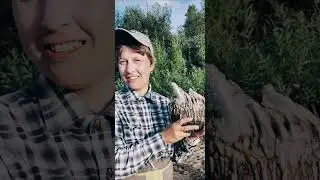 Путешествуем по Кие (2020 год)