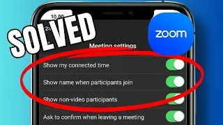 How to allow non-video participants to be shown in Zoom