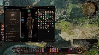 BG3 Walock: Tactician