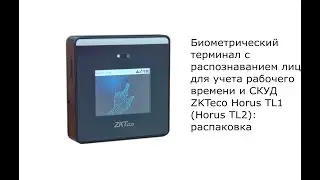 Биометрический терминал ZKTeco Horus TL2