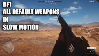 Battlefield 1 BETA Slow Motion All Default Weapons