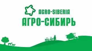 HR ролик 