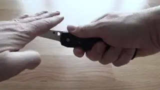 SPYDERCO JANI SONG