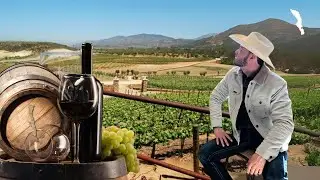 La razón por la cual, El Valle de Guadalupe, se considera la mejor región vinícola