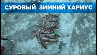 Безмотылка,мушка,зимний хариус!