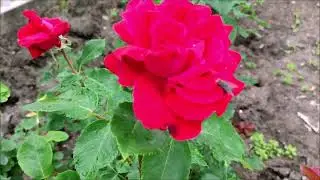 НЕВИННОМЫССК  29-05-2023