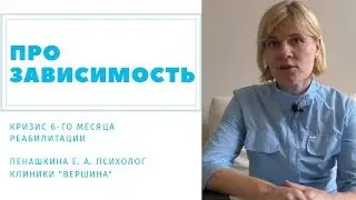Пенашкина Е. А. "Кризис 6 го месяца "