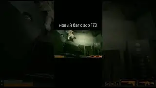баг в scp sl 