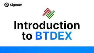 What is BTDEX? Simple Introduction to BTDEX wallet