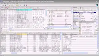 Split Field Text Processing