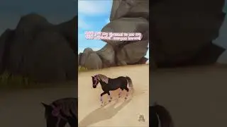 ♡ star stable: *UPDATED* morgan horses ♡