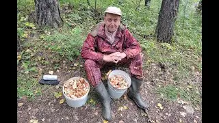 ПРОМО Как надо собирать грибы. Мальковский Вадим