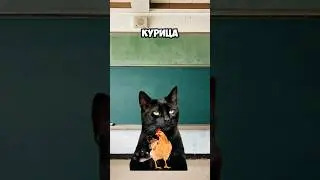 А ученик-то прав😂🤣! #shorts #cat #котики #футажи #tiktok #youtube #хочуврек Автор:@kikkadim