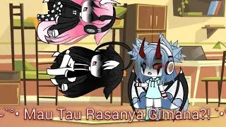 ~°•`Mau Tau Rasanya Gimana?! `•°~