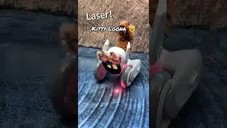 Loona robot acting as a kitty 