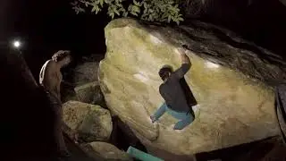 Pagota - 8A | Fontainebleau