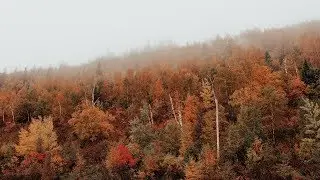 The BEST kind of NATURAL LIGHT! Overcast Photography