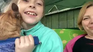 Наша история ,как мы потеряли собаку