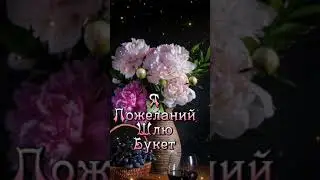 16 июня 2023 г.