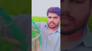 kala tatar ki awaz