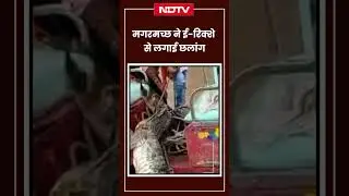 Sheopur News: मगरमच्छ ने ई रिक्शे से लगाई छलांग, Video हो गया Viral | Latest News
