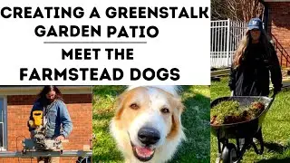 Day 1 of Creating the GREENSTALK Garden Patio and Come Meet the Dogs of Morning Glory Farmstead!