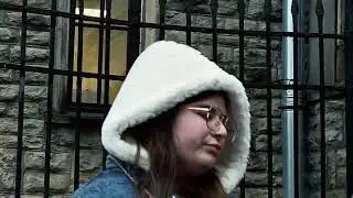 Заблудшие друзья Аптекарского острова