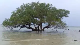 Pantai Tegar Bahari