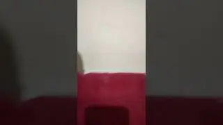 мана СИЗ излагар шум така