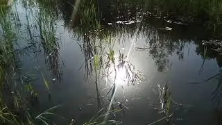 Люберецкий карьер. Затопленная дорога ;-)