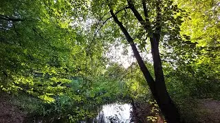 Autumn Landscapes [7] [Nature Sounds Relaxation] [Full HD]