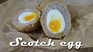 Scotch egg