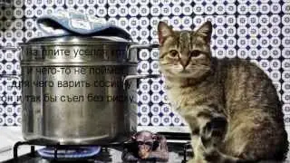 :}) бам-буча - песенка про кота