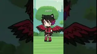 damos muito bom😎
