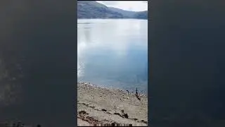 EL DRON AVANZADO que  puedes  volar sin LICENCIA.  MAVIC MINI