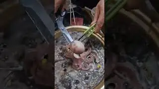 쭈꾸미드시고 힘내세요 #낚시 #fishing #갑오징어낚시 #쭈꾸미낚시 #샤브샤브