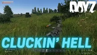 DayZ - What the cluck?