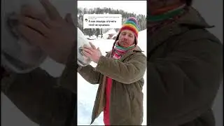 Как отучить лошадь кусаться. 